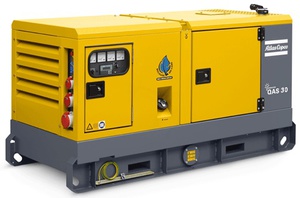 Дизель-генераторная установка QAS 30 